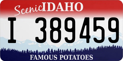 ID license plate I389459