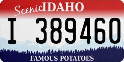 ID license plate I389460