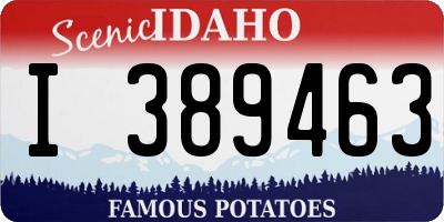 ID license plate I389463