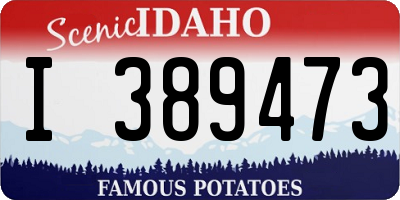 ID license plate I389473