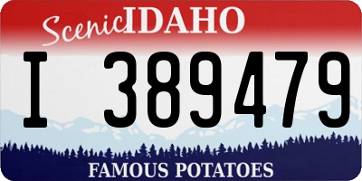 ID license plate I389479