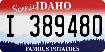 ID license plate I389480