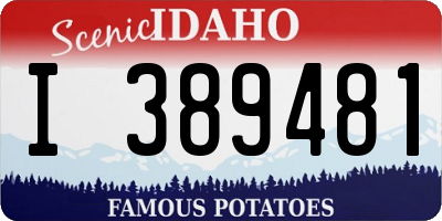 ID license plate I389481
