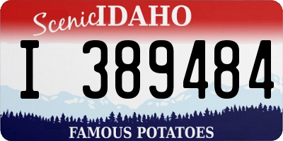 ID license plate I389484