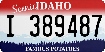 ID license plate I389487