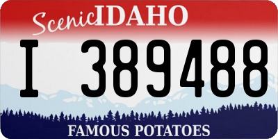 ID license plate I389488