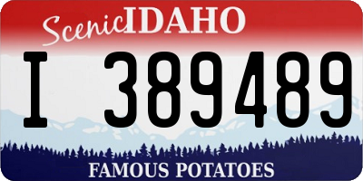 ID license plate I389489