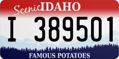 ID license plate I389501