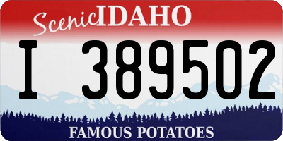 ID license plate I389502