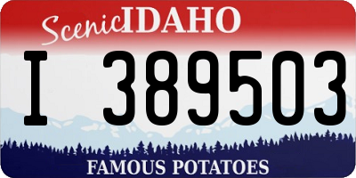 ID license plate I389503