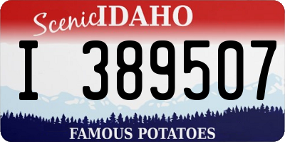 ID license plate I389507