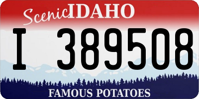 ID license plate I389508