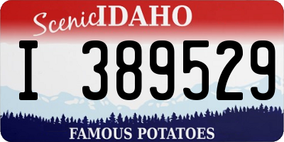 ID license plate I389529