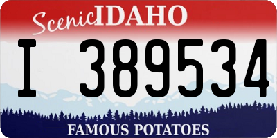 ID license plate I389534