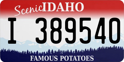 ID license plate I389540
