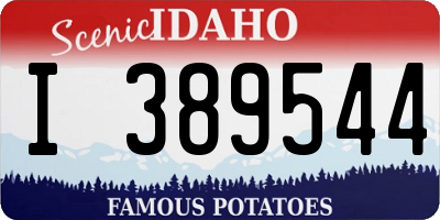 ID license plate I389544