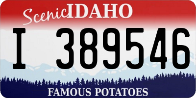 ID license plate I389546