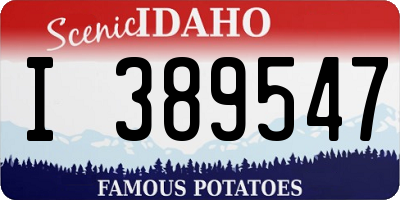 ID license plate I389547