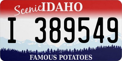 ID license plate I389549