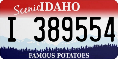 ID license plate I389554