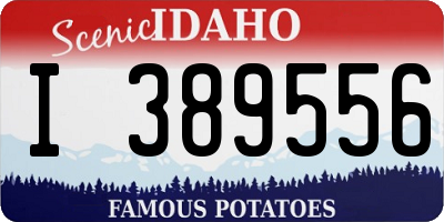 ID license plate I389556