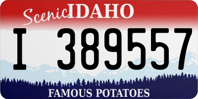 ID license plate I389557