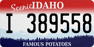 ID license plate I389558