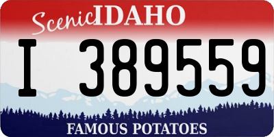 ID license plate I389559