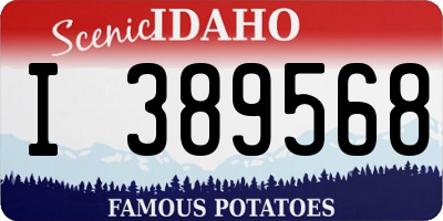 ID license plate I389568