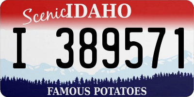 ID license plate I389571
