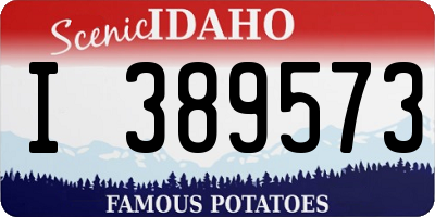 ID license plate I389573