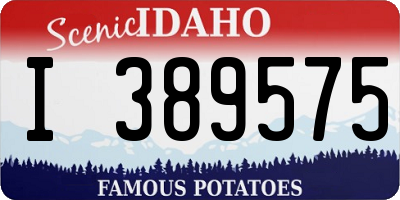 ID license plate I389575