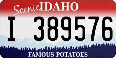 ID license plate I389576
