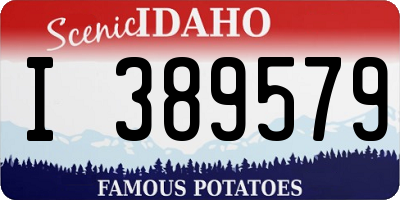 ID license plate I389579