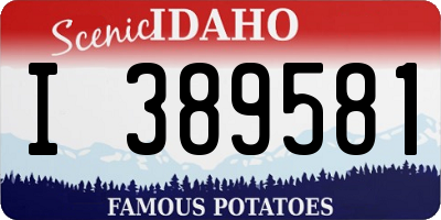 ID license plate I389581