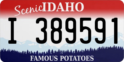 ID license plate I389591