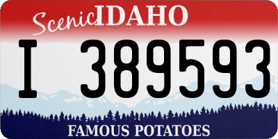 ID license plate I389593