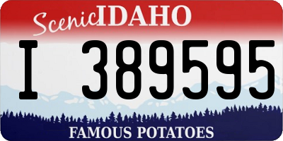 ID license plate I389595