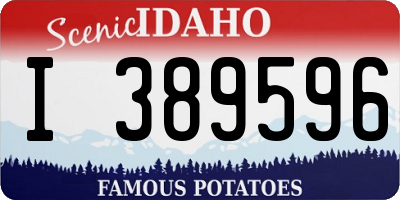 ID license plate I389596