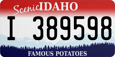 ID license plate I389598