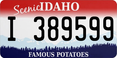 ID license plate I389599