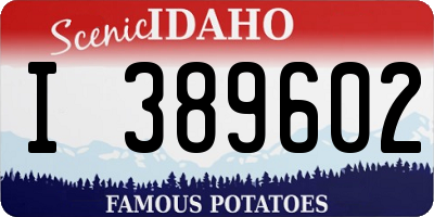 ID license plate I389602