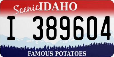 ID license plate I389604