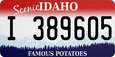 ID license plate I389605
