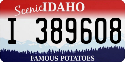 ID license plate I389608