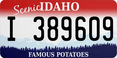ID license plate I389609