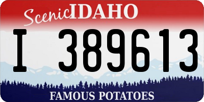ID license plate I389613