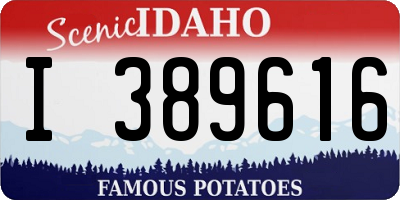 ID license plate I389616