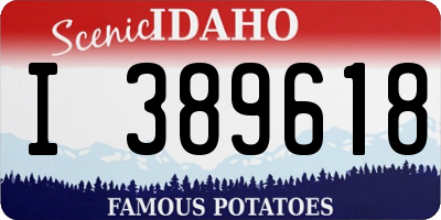 ID license plate I389618