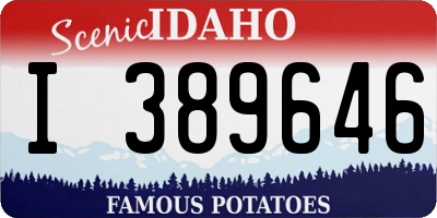 ID license plate I389646